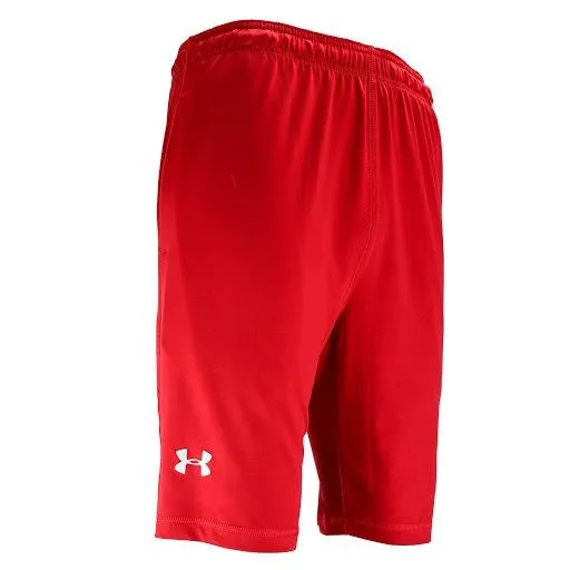 Under Armour Men's UA Raid 10" Shorts